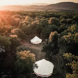 Lodg'ing Nature Camp Luberon Tente de luxe Saint-Michel-lʼObservatoire